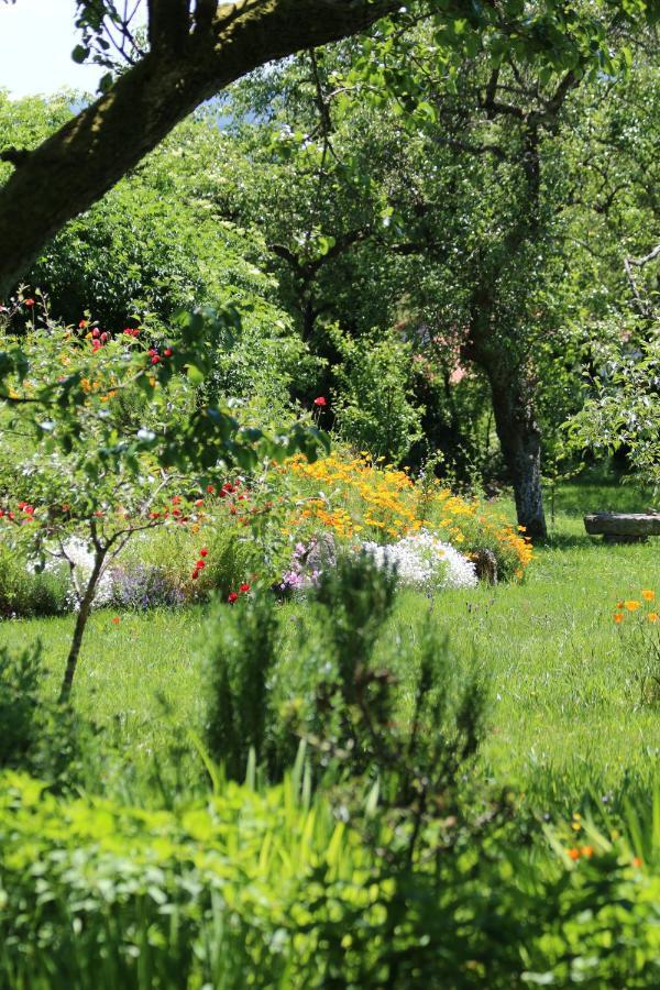 Pazo De Chaioso Ribeira Sacra Maceda Bagian luar foto